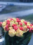 ������� --New_Life--