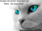 ������� tomalla