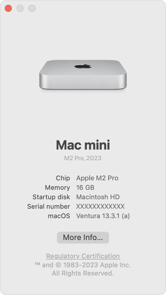 About This Mac window on a Mac mini, showing the "Chip" section indicating Apple silicon.