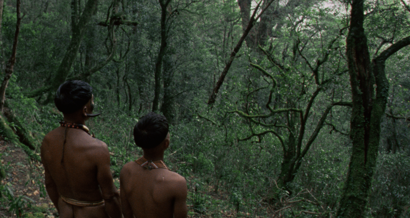 In this still, two men - father and son - are seen from behind look out over a dense, green forest.