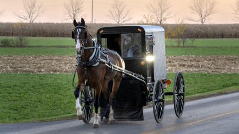 A horse and buggy carriage drives by