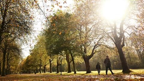 A man and child walk along a path in a park with autumnal looking trees, and brown leaves on the  ground
