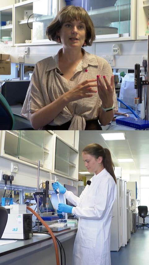 A woman talking about menstrual cups at the top and a researcher in a lab wearing a white coat at the bottom