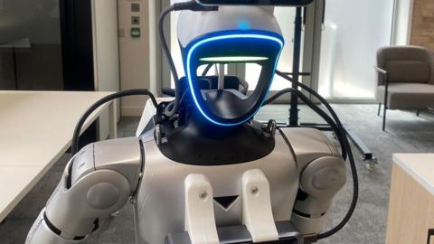 Freddo the robot