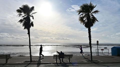 view out to sea with some sunshine and a few clouds in the sky.  Some palm trees and runners along the prominade