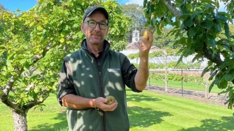 Simon Tetlow stands on a sunny lawn in an orchard, holding fruit picked from a tree. He is wearing a dark cap, glasses and a green fleece vest. Large leafy branches hang overhead, casting dappled shadows across the grass. Additional fruit trees and garden buildings can be seen in the background beneath a bright blue sky with scattered clouds.