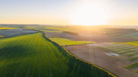 A drone view shows agricultural fields split by a line of trees, with long shadows being thrown across the field in the foreground by a beautiful sunset. Browner ploughed fields run alongside the back of the trees.