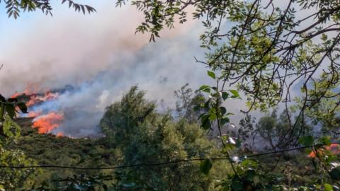 A mountain fire in north Wales - there is green shrubbery in the foreground and large flames can be seen on the hillside, along with plumes of smoke