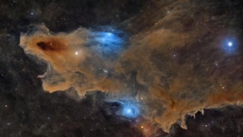 A dark nebula that appears to be the shape of an animal. Is brown in colour with blue-coloured areas that are reflection nebulae.