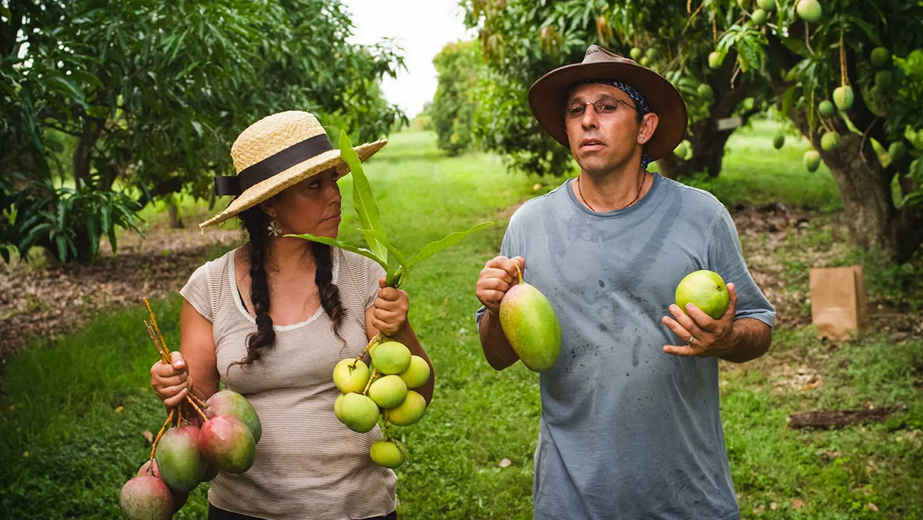 The Fruit Hunters