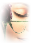 ������� Mlena
