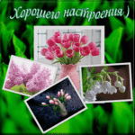 ������� Okluba
