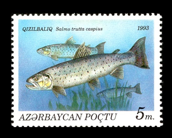 Stamp_of_Azerbaijan_197 (550x442, 153Kb)