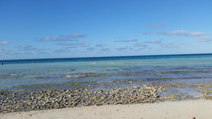 20141221_155220 (700x393, 300Kb)