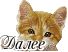 Tc2W0k9RS4li (68x52, 3Kb)