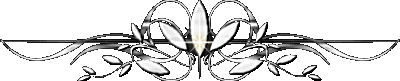 4059800_8f4d6e90d984 (400x81, 8Kb)