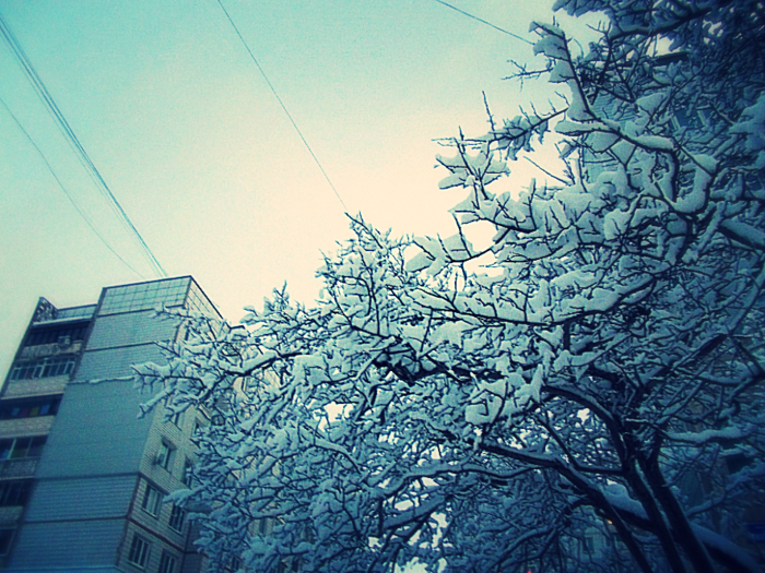 загружено (10) (700x525, 806Kb)