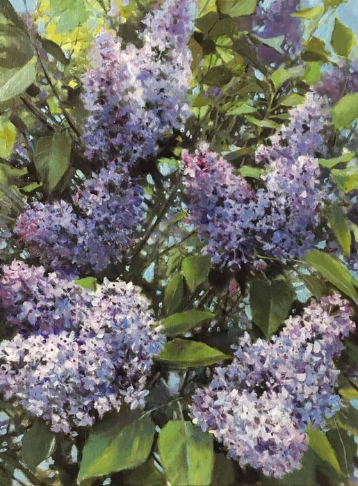 565730590_3891064807859718_7120604272344836423_n (515x700, 459Kb)