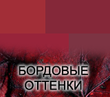 Оттенки бордового Оттенки бордового цвета