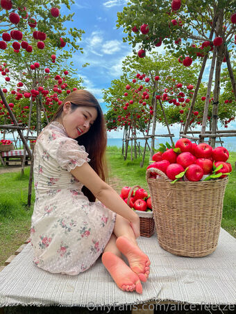 alice.feetze