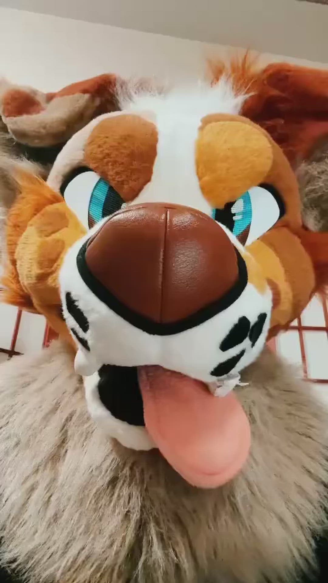 Poster for Birthday video from TwilightSaint