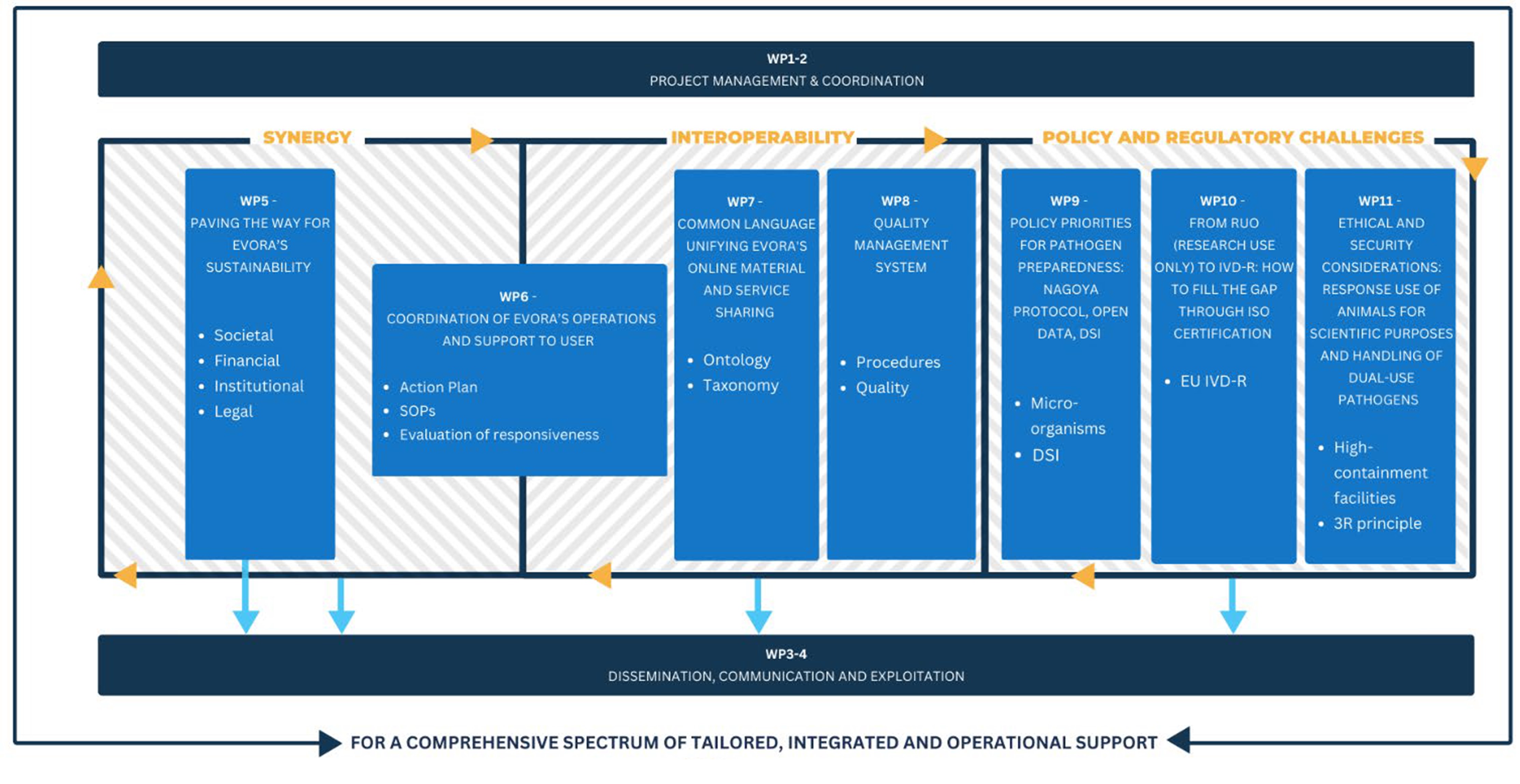 General organization of the EVORA project and Pert chart