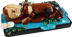 <h1>Floating Sea Otters</h1><div class='tags floatleft'><a href='/sets/21366-1/Floating-Sea-Otters'>21366-1</a> <a href='/sets/theme-Ideas'>Ideas</a> <a class='year' href='/sets/theme-Ideas/year-2026'>2026</a> </div><div class='floatright'>&copy;2026 LEGO Group</div>