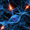 The Brain-Computer Interface