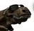 TheAnomalousNinjaScroll's avatar