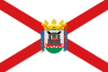 Gasteizko bandera
