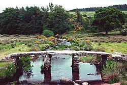 Brúgv í tjóðargarðinum Dartmoor