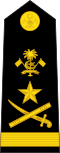 ޖެނެރަލްGeneral(Maldivian Marine Corps)