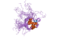 1z1m: NMR structure of unliganded MDM2