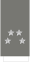 General(Portuguese Army)