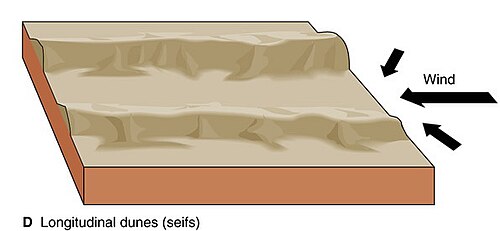 Model de formació de dunes en direcció longitudinal mitjana