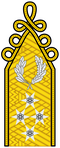 Hungarian Defence Forces colonel general rank insignia