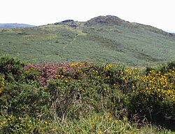 Tjóðargarður Dartmoor