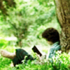 starspray: Frodo reading beneath a tree (Frodo Reading)