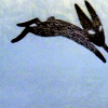 sideways: (►couldn't be more opposite)