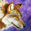 amberdreams: (Default)