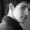 yourlibrarian: MerlinOverShoulder-ninneve (MERL-MerlinOverShoulder-ninneve)