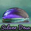 silverdew: Purple Dew Drop photograph (by me) (SilverDew)