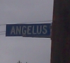 calledalaska: (street sign)