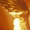 callowyn: (angel wing)