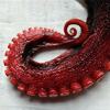 feathercircle: Photograph of red tentacle (tentacular spectacular)
