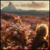 sarnath: Bilbo sees the lonely mountain from the Mirkwood (Bilbo & Lonely Mountain)