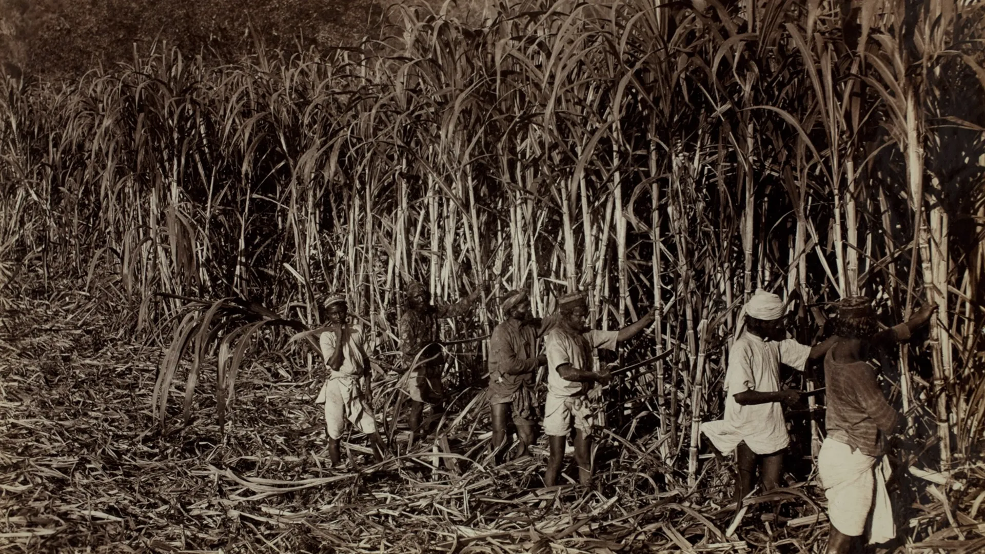 List of employers to whom Indentured Indians were assigned